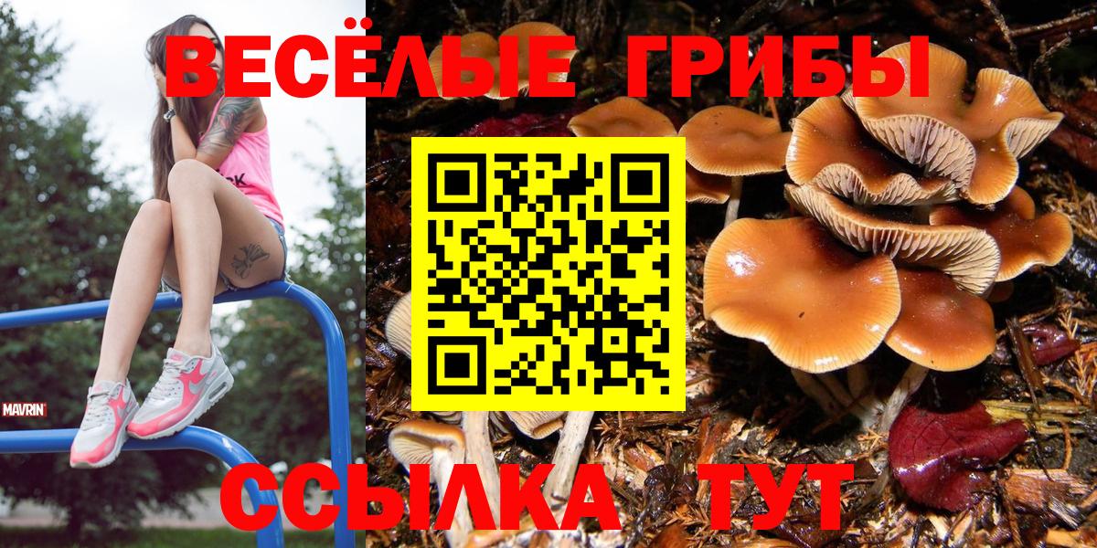 Псилоцибиновые грибы мицелий  Вход с VPN  Ливны 
